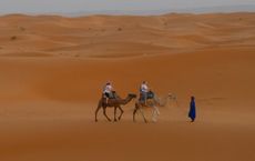 Article Image for Climate Migration and International Policy