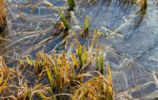 Article Image for Global Water Scarcity and Business Risk