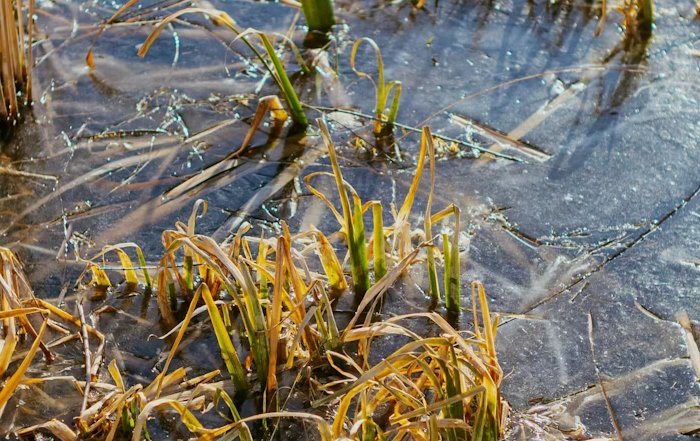 Article Image for Global Water Scarcity and Business Risk