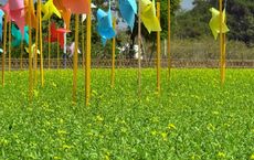 Article Image for Innovations in Sustainable Agriculture