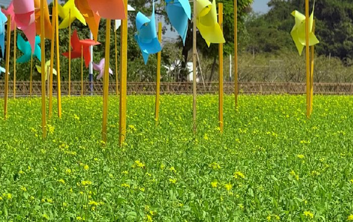 Article Image for Innovations in Sustainable Agriculture