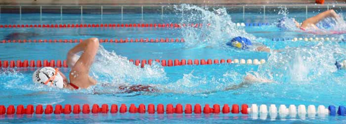 How to Start a Career in Sports in the USA