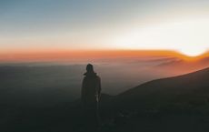 Article Image for The Rise of the Creator Economy